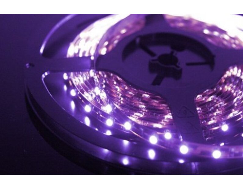 Ультрафиолетовая светодиодная лента SMD 5050 60-UV