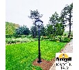 Фонарный столб Fumagalli SIMON U33.157.000.AYH27