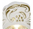 Встраиваемый светильник Arte Lamp Occhio A5285PL-1SG