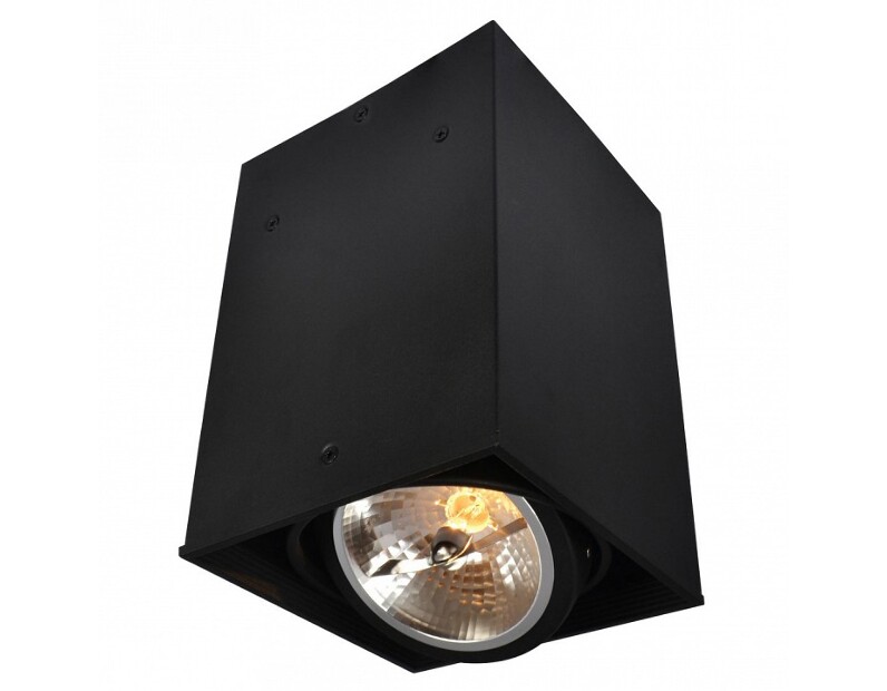 Накладной светильник Arte Lamp Cardani A5936PL-1BK