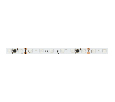 Лента DMX-B60-10mm 24V RGB-PX6 (14 W/m, IP20, 5m) (Arlight, -)