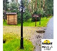 Фонарный столб Fumagalli ANNA E22.156.S20.AYE27DN