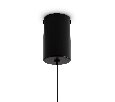 Подвесной светильник Freya Curl FR5624PL-L9YW