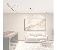 Комплект трековый Denkirs Shine SET SET SHINE 17