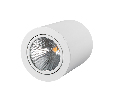 Светильник Arlight SP-FOCUS-R120-16W Day White IP20 Металл 021426