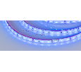 Лента Arlight RTW 2-5000PGS 12V Blue (3528, 300 LED, LUX) 4.8 Вт/м, IP67 013393
