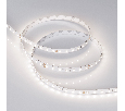 Лента Arlight RT 2-5000 24V 1.6X Day (2835, 490 LED, PRO) 019914