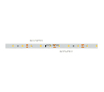 Лента Arlight RTW 2-5000SE 12V White (2835, 300 LED, PRO) 7.2 Вт/м, IP65 020517