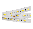 Лента Arlight ULTRA-5000 24V White6000 2x (5630, 300 LED, LUX) 30 Вт/м, IP20 014973