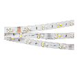 Лента Arlight RT 2-5000 24V White-TRIX 2x (3528, 450 LED, LUX) 7.6 Вт/м, IP20 013986