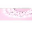 Лента Arlight RZ 2-5000 12V Pink 2x (5060, 240 LED, Wave) 11.5 Вт/м, IP20 018218