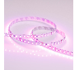 Светодиодная лента Arlight RT 2-5000 24V Pink 2x (3528, 600 LED, LUX) 015899