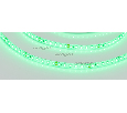 Лента Arlight RTW 2-5000SE 24V Green 2x (3528, 600 LED, LUX) 9.6 Вт/м, IP65 016510