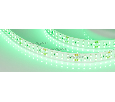 Светодиодная лента Arlight RT 2-5000 24V Green 2x2 (3528, 1200 LED, LUX) 008768