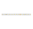 Лента Arlight RT 2-5000 24V Day5000 (2835, 80 LED/m, LUX) 6 Вт/м, IP20 024511