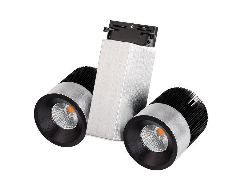 Светильник Arlight LGD-2238SB-2x15W Day White 24deg 022044