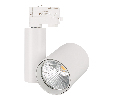 Светильник Arlight LGD-SHOP-4TR-R100-40W Warm3000 (WH, 24 deg) IP20 Металл 026279