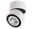 Светильник накладной Lightstar FORTE MURO  15W 4000K 214816