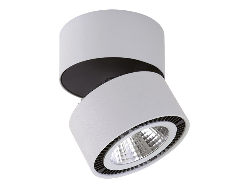 Светильник накладной Lightstar FORTE MURO  26W 4000K серый 214839