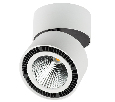 Светильник накладной Lightstar FORTE MURO  40W 4000K 214850