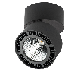 Светильник накладной Lightstar FORTE MURO  40W 4000K 214857