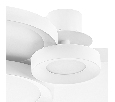 Люстра потолочная Lightstar BREVE  80W 4000K 749084