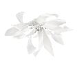 Люстра потолочная Lightstar TURBIO  6х40W G9 MATT WHITE 754166