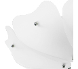 Люстра потолочная Lightstar LOBO  6х40W G9 804020