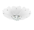 Люстра потолочная Lightstar LOBO  6х40W G9 804020