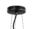 Люстра подвесная Lightstar GLOBO  5х40W G9 Черный 815057