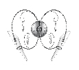 Бра Lightstar SCARABEO  2х35W G4 755624