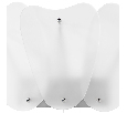 Бра Lightstar LOBO  2х40W G9 804640
