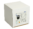 Светодиодный светильник тротуарный (грунтовый) Feron SP4111 3W 6400K 230V IP67 32013