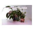 Светодиодный светильник для растений 14W, пластик, AL7002 41355