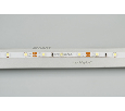 Лента Arlight RT 2-5000 12V Cool 15K 5mm (3528, 300 LED, LUX) 4.8 Вт/м, IP20 015215(B)