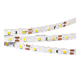 Лента Arlight RT 2-5000 12V White6000 (2835, 300 LED, PRO) 7.2 Вт/м, IP20 015703(B)