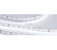 Лента Arlight RT 2-5000 24V White6000 (2835, 80 LED/m, LUX) 6 Вт/м, IP20 024509(1)