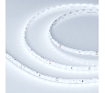 Лента Arlight RT 2-5000 24V Cool 8K 1.6x (2835, 490 LED, PRO) 10 Вт/м, IP20 019912(1)