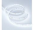 Лента Arlight RT 2-5000 24V Cool 8K 1.6x (2835, 490 LED, PRO) 10 Вт/м, IP20 019912(1)