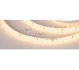 Лента Arlight RTW 2-5000SE 24V 1.6X Warm3000 (2835, 490 LED, PRO) IP65 021877(1)