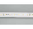 Лента Arlight RT-20000 24V White6000 (3528, 60 LED/m, 20m) 4.8 Вт/м, IP20 025009