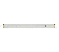 Лента Arlight IC 2-30000 24V Warm3000 10mm (2835, 60 LED/m, LUX) 027033