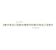 Лента Arlight RT-10000 24V White6000 2x (3528, 120 LED/m, 10m) 9.6 Вт/м, IP20 025004