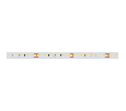 Лента Arlight MICROLED-5000 24V White-CDW 8mm (2216, 240 LED/m, Bipolar) 024507