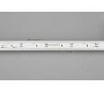 Лента Arlight RT-5000-6060LENS-20-12V White6000 (10mm, 10W/m, IP20) 030120