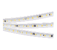 Лента Arlight ARL-PV-C72-15.5mm 230V Warm3000 (14 W/m, IP65, 5630, 50m) 027053(2)