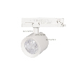 Светильник Arlight LGD-NIKA-4TR-R100-20W White6000 (WH, 24 deg, 230V) IP20 Металл 031162