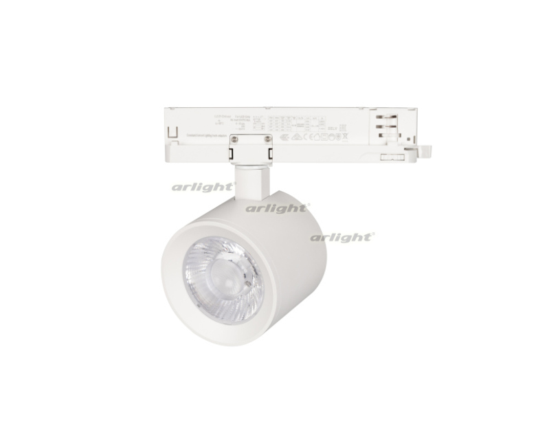 Светильник Arlight LGD-NIKA-4TR-R100-20W White6000 (WH, 24 deg, 230V) IP20 Металл 031162