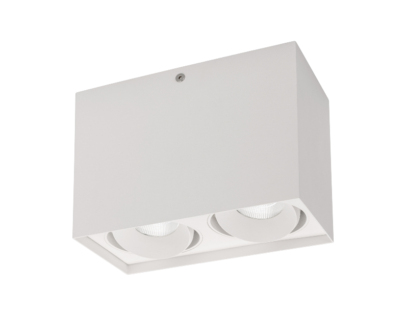 Светильник Arlight SP-CUBUS-S100x200-2x11W Day4000(WH, 40 deg, 230V) IP20 Металл 023083(1)
