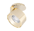 Модуль светодиодный Arlight PLURIO-LAMP-R77-9W Day4000 (BRS, 36 deg, 2-2, 38V, 200mA) Металл 030256